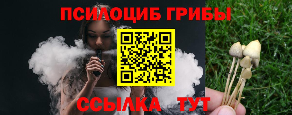 Кинель  как найти закладки  Вход с VPN  Галлюциногенные грибы Magic Shrooms 