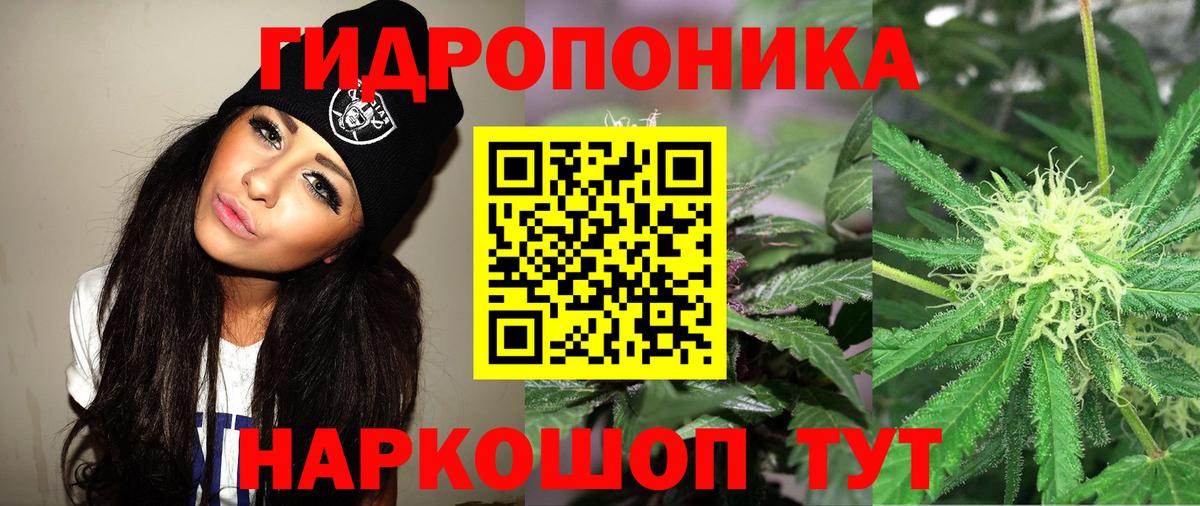 Каннабис OG Kush  Марихуана тримм  Кинель  МАРИХУАНА MAZAR  Вход с VPN  Бошки марихуана Ganja 